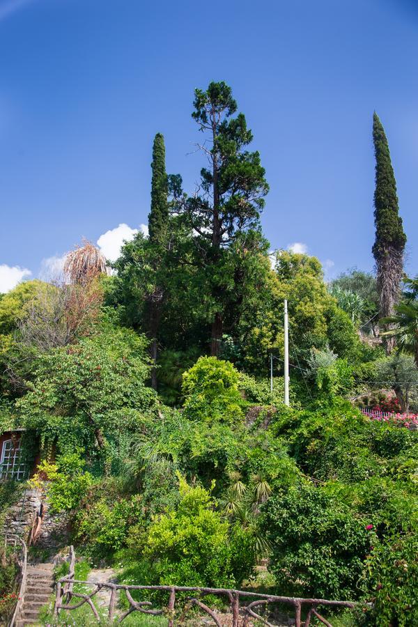San Rocco Flexyrent - Parking - Wifi - Aircon Apartment Rapallo Exterior photo